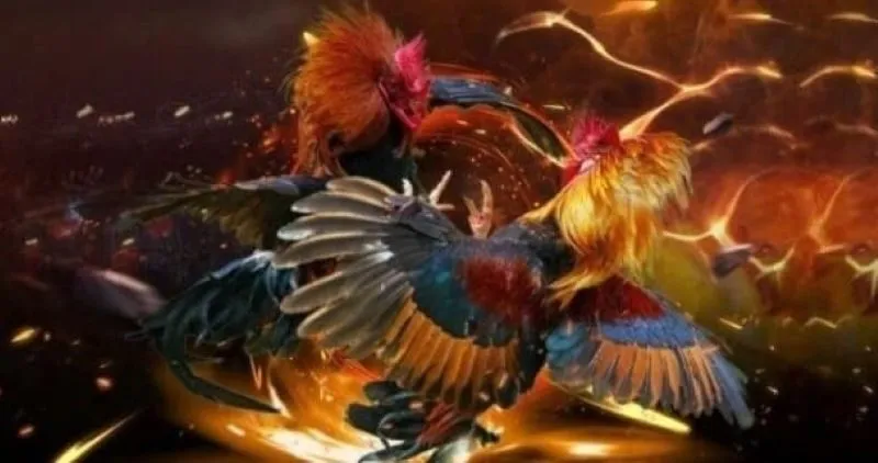 789club địa chỉ uy tín xem gà chọi C1 hot nhất hiện nay