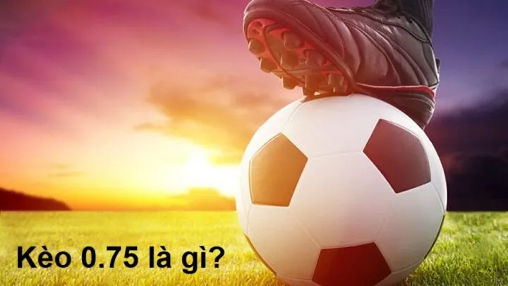 Hiểu rõ về kèo 0.75